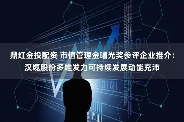 鼎红金投配资 市值管理金曙光奖参评企业推介：汉缆股份多维发力可持续发展动能充沛