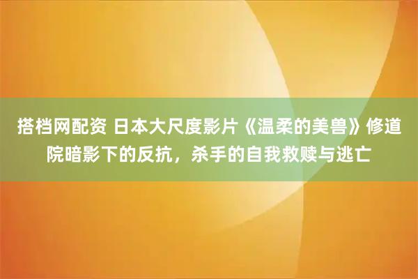 搭档网配资 日本大尺度影片《温柔的美兽》修道院暗影下的反抗，杀手的自我救赎与逃亡